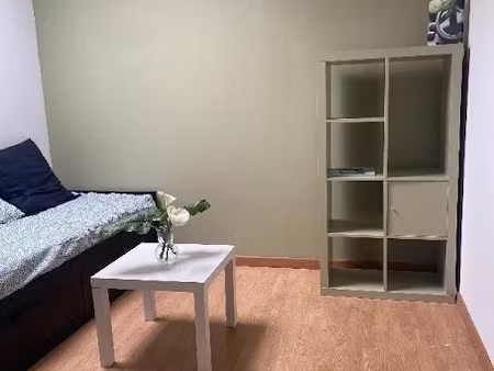 location appartement 1 pièce à begles (33130)  480 €