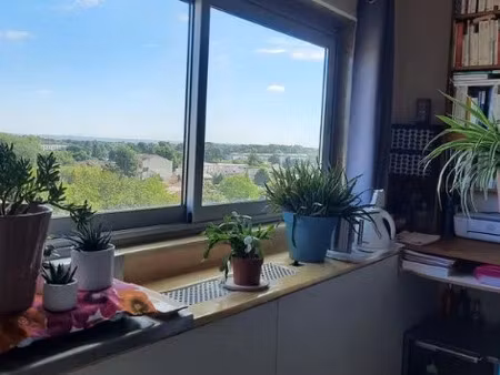 location appartement 1 pièce à gradignan (33170)  430 €