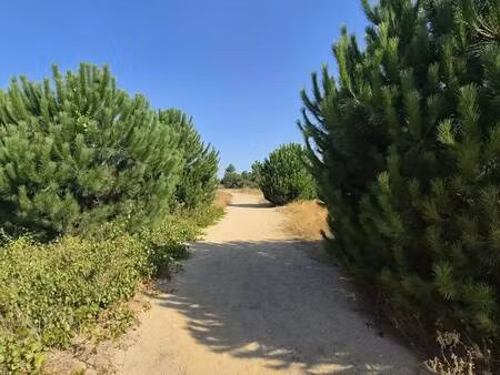 terrain constructible viabilisé à vendre