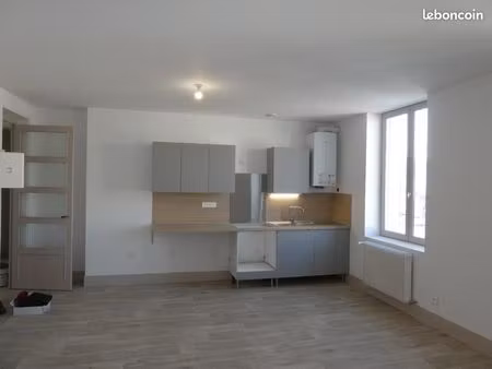 firminy  atypique t3  rénové et très bien situé