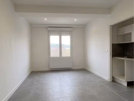 studios entièrement rénovés à louer – grenoble île verte