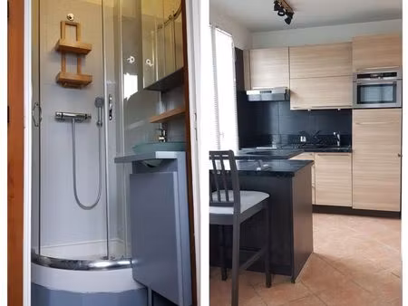 duplex meublé et climatisé saint-maur-des-fossés
