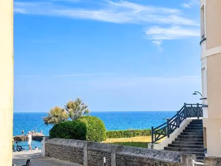 bizeul immobilier
