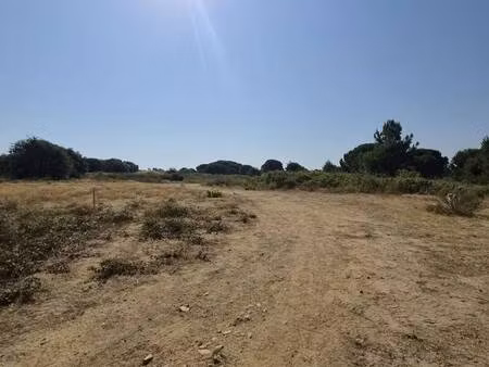 terrain constructible viabilisé à vendre