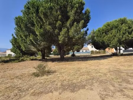 terrain constructible viabilisé à vendre
