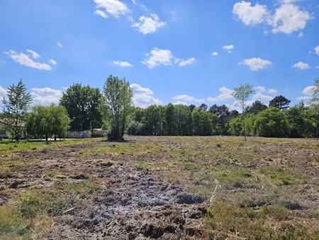 vente terrain 650 m² à cadaujac (33140)  129 000 €