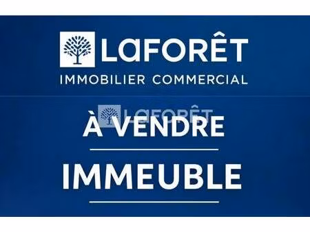immeuble à vendre