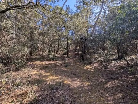 vente terrain 1550 m² à les mathes (17570)  616 550 €