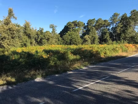 vente terrain 301 m² à gastes (40160)  91 000 €