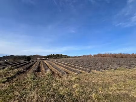 vente terrain 717 m² à roumoules (04500)  102 000 €