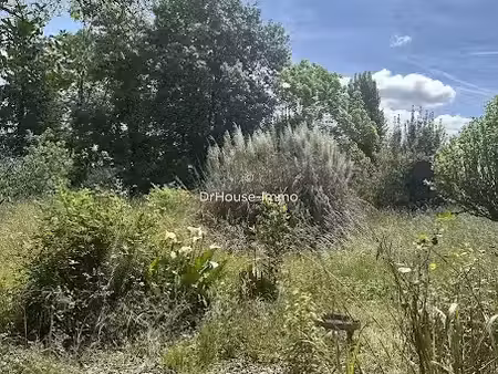 vente terrain 1000 m² à castelnau-de-médoc (33480)  130 000 €