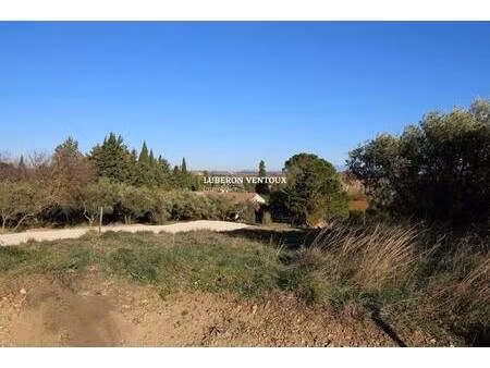 terrain constructible viabilisé à vendre