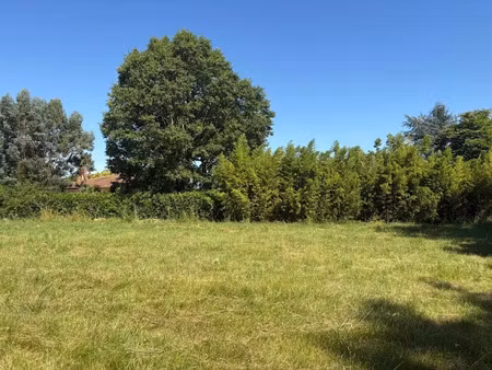 vente terrain 705 m² à saint-sauveur (31790)  145 000 €