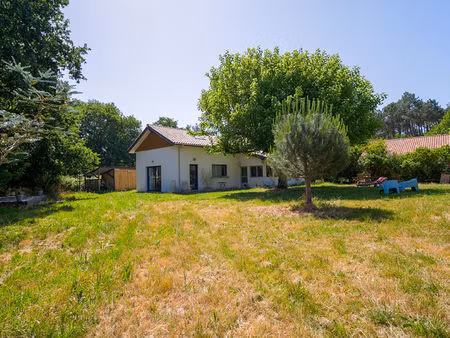 maison rénovée avec grand terrain ! un véritable coup de coeur
