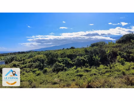 vente terrain 440 m² à saint pierre (97410)  188 000 €