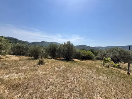 vente terrain à batir 3280 m² à montferrat (83131)  229 000 €