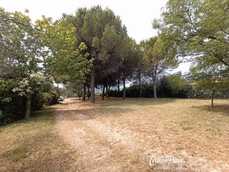 terrain à vendre