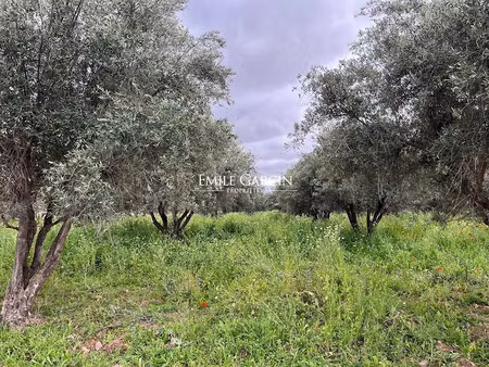 vente terrain 10000 m² à mont-de-marsan (40000)  980 000 €