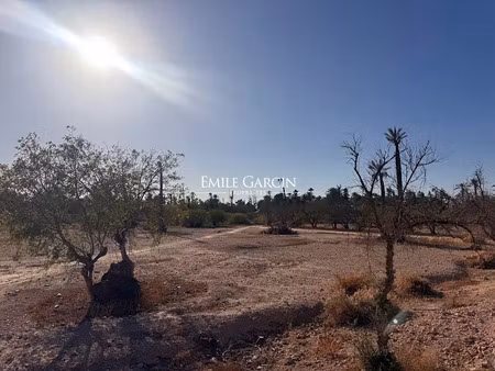 vente terrain 20000 m² à mont-de-marsan (40000)  4 000 000 €