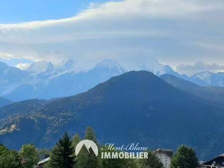 mont-blanc immobilier passy