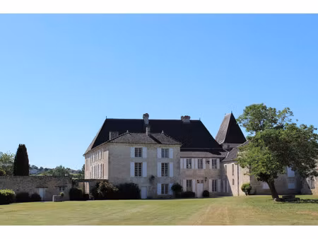 château à vendre dans le quartier saint ausone-saint martin-saint gelais
