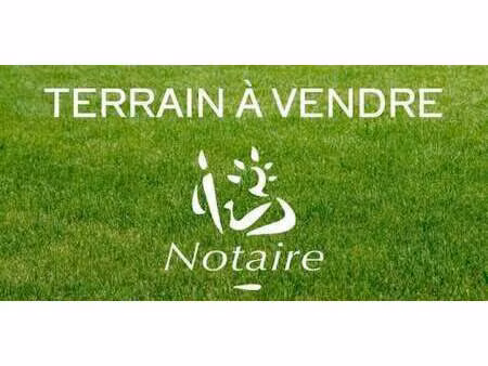 terrain sainte-marie-de-ré (17)