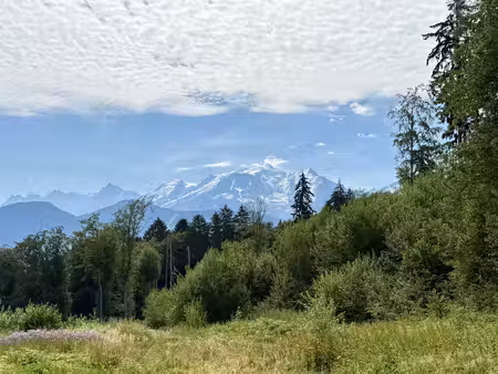 terrain constructible de 9210 m² à combloux