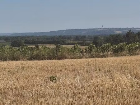terrain agricole de 4 hectares – vue panoramique – secteur campsas / fabas