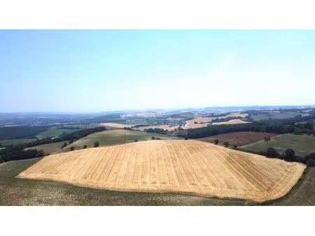 terrain agricole