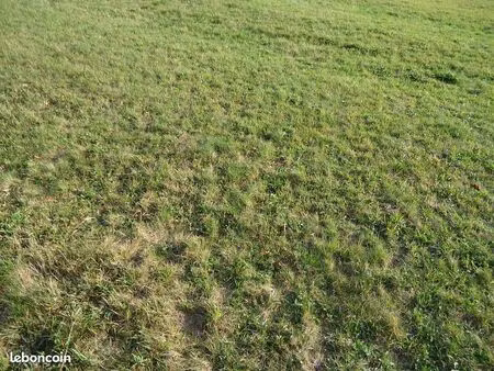 terrain de 28 ares constructible traubach le bas