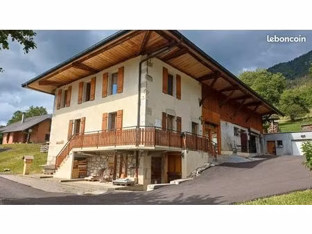 maison spacieuse et rénovée + cave et garages