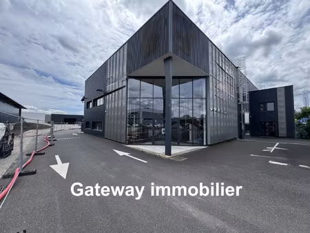 local professionnel bureaux  entrepôt et showroom 1175m2 à
