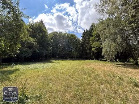 terrain