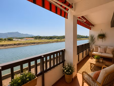 appartement rénové avec terrasse et vue rhune
