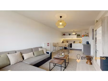 strasbourg rue des frères ebert - appartement 3 pièces avec gr