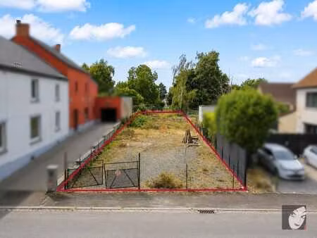 terrain