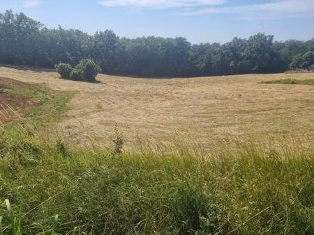 terrain constructible viabilisé à vendre