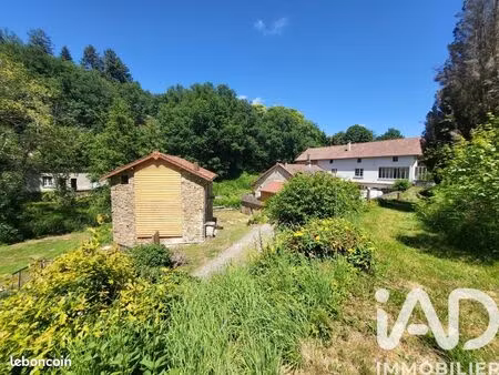 moulin 11 pièces 242 m²