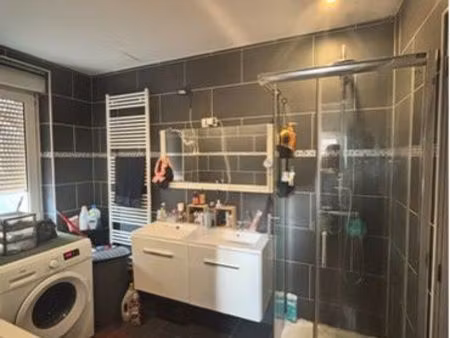 3 pièces cuisine  équipée mulhouse  vieux dornach