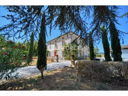 maison de maitre avec gîte et dependances a vendre a lisle-sur-tarn