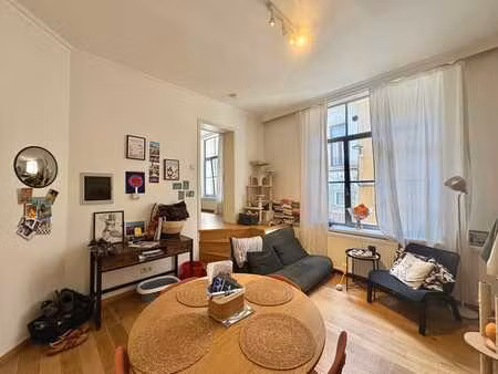 charmant appartement au cœur du quartier européen