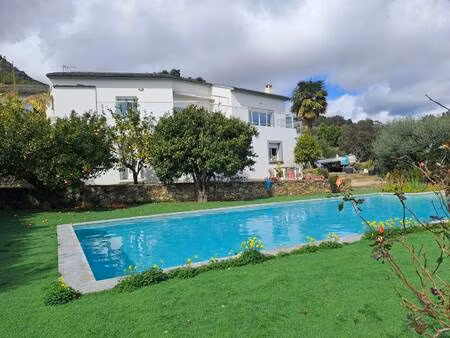 zenith immobilier
