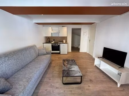 appartement t2 meublé avec grande pièce en sous-sol aménagée – entièrement rénové