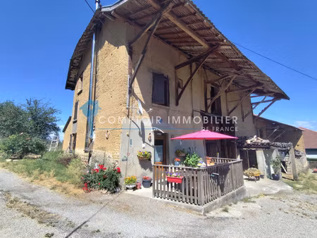 propriété paladru viager occupé h74