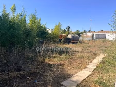 exclusivité – ensemble immobilier sur parcelle agricole : maison de plain-pied & hangar