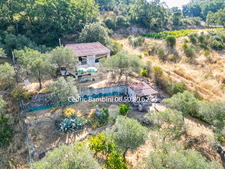 potentiel unique au calme  cabanon avec terrain arboré de 1695 m²