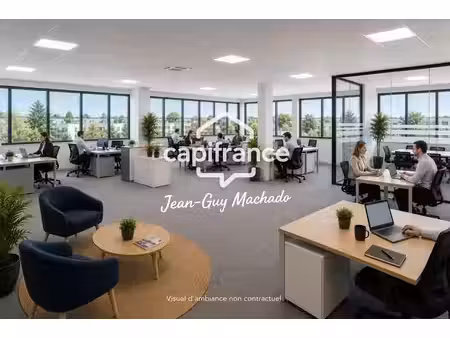 location bureaux grisolles 82170 250m²