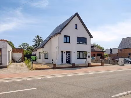 maison à vendre à koersel € 425.000 (lqiz6) - vast & goed makelaars | zimmo