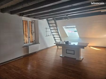 bel appartement lumineux