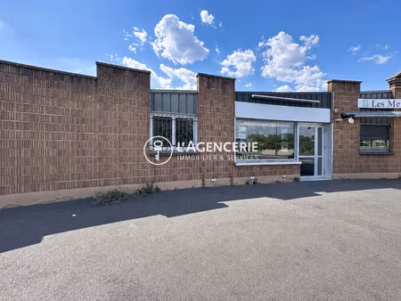 immobilier professionnel à louer albi